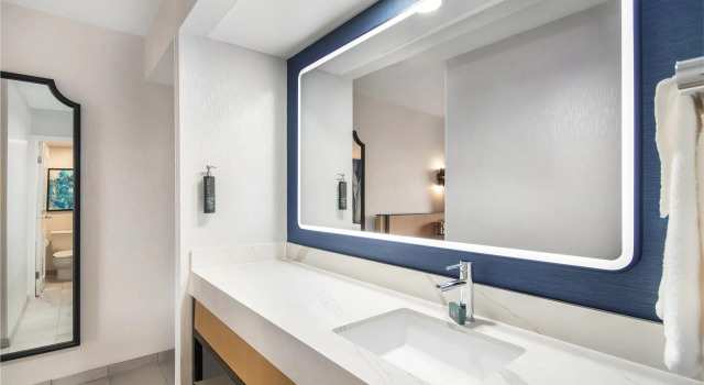 Двухместный номер Standard DoubleTree by Hilton Buffalo-Amherst
