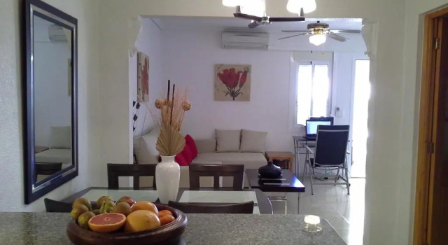 Apartment 241