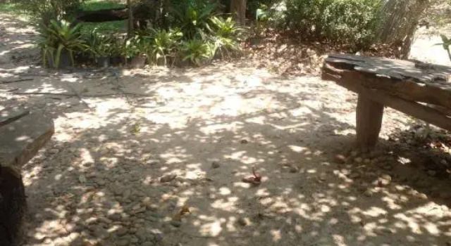 Homebueng, Book Hotel Bueng Khong Long 
