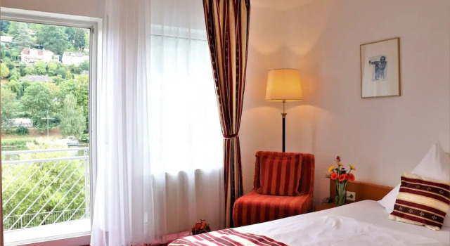 Двухместный номер Deluxe с балконом Hotel Neckarlux