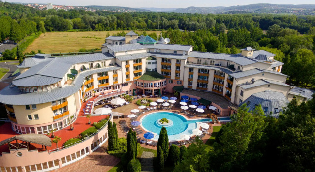 Одноместный номер Standard Lotus Therme Hotel & Spa