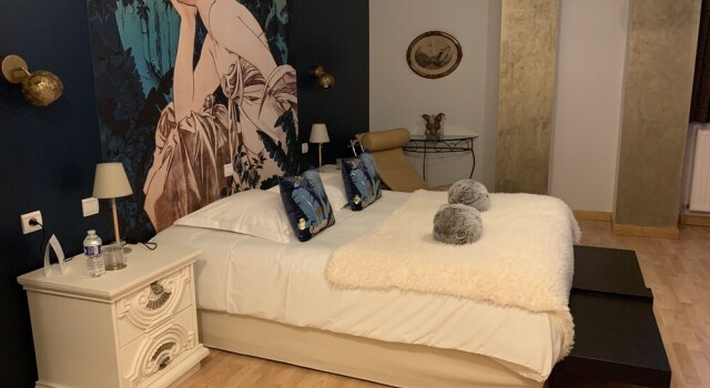 Двухместный номер Premium Hôtel Vintage
