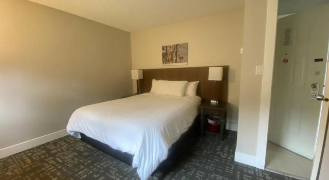 Семейный люкс High Point Resort