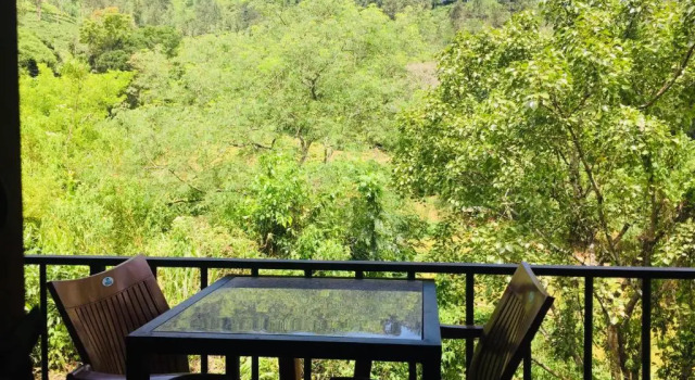 Camera Deluxe Wild Resort Ella