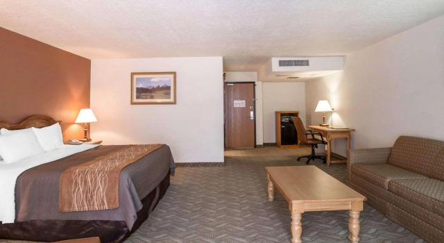 Двухместный номер Standard Comfort Inn Salt Lake City Downtown