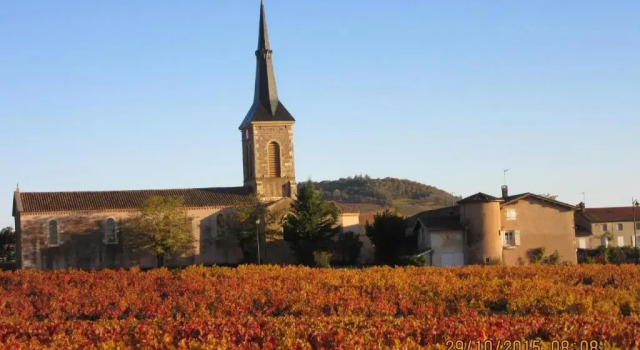 Domaine du Barvy