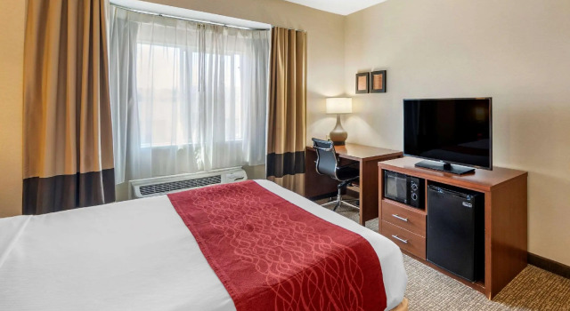 Двухместный номер Standard THE ATRIUM HOTEL SFO AIRPORT