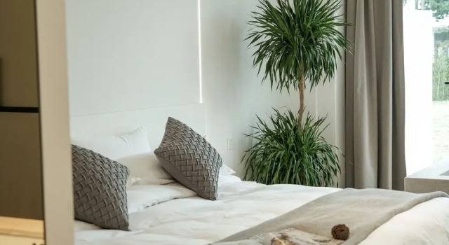 Номер Luxury My Home