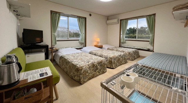 Номер Standard Pension KEIKO