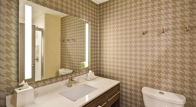 Двухместный студия люкс Premium с балконом Home2 Suites At The Galleria