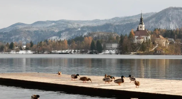 Lake House Sebanc, Buchen Sie Ferienwohnung Apartments in Gorenjska, Ferienwohnung