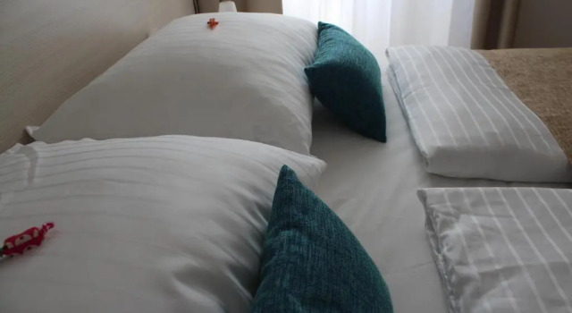 Двухместный номер Economy Hotel Borovnik