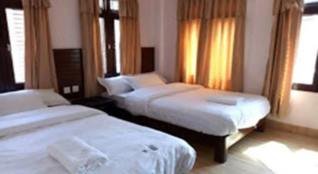 Hotel Alpine Villa