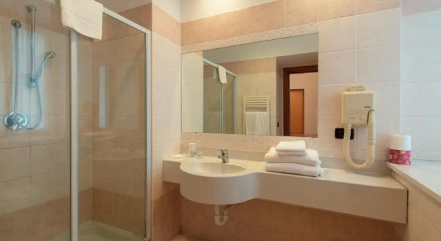 Трёхместный номер Standard Hotel Bologna