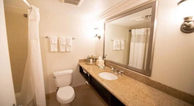 Двухместный люкс Holiday Inn Bar Harbor Regency Hotel by IHG