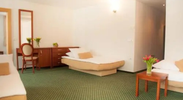 B&B Vila Otočec, Prenota Bed & breakfast Hotel a Dolenjska con parcheggio, Parcheggio
