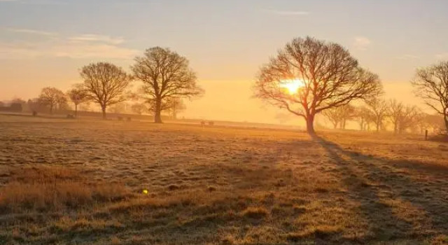 Шале Ruths Retreat Shropshire Countryside Lodge with private hot tub & great views