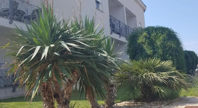 Апартаменты c 1 комнатой с балконом и с видом на море Sunset Apartments Zaton
