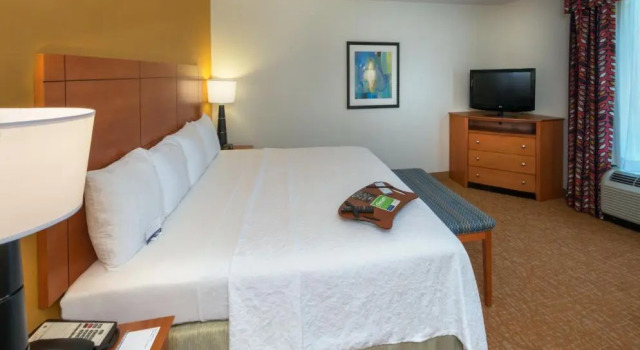Двухместный семейный люкс Hampton Inn & Suites Mobile I-65@ Airport Boulevard