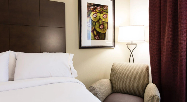 Двухместный номер Standard Holiday Inn Express & Suites Aiken by IHG
