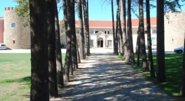 Полулюкс с видом на сад Palace Hotel & Spa Termas de São Tiago