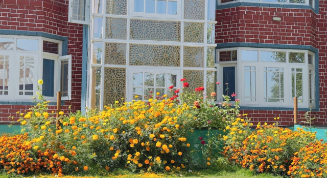 Oak Heaven Cottage, Забронировать Дом для отпуска Коттеджи Jammu & Kashmir Ski, Коттедж