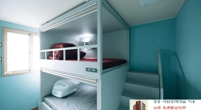 Standart dört kişilik oda Midtown Hostel