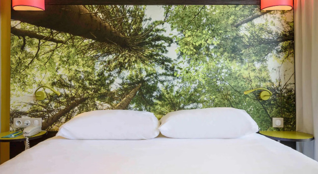 Двухместный номер Standard ibis styles Dax Centre