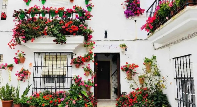 Beautiful studio in Vejer
