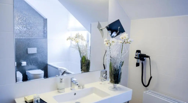 Полулюкс Deluxe Мансарда с видом на город Residence Mysterius Old Town