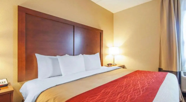 Люкс Comfort Inn at Royal Blue