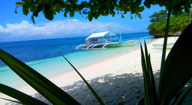 Bantigue Cove Malapascua Beach Resort, Book Resort Daanbantayan Cebu