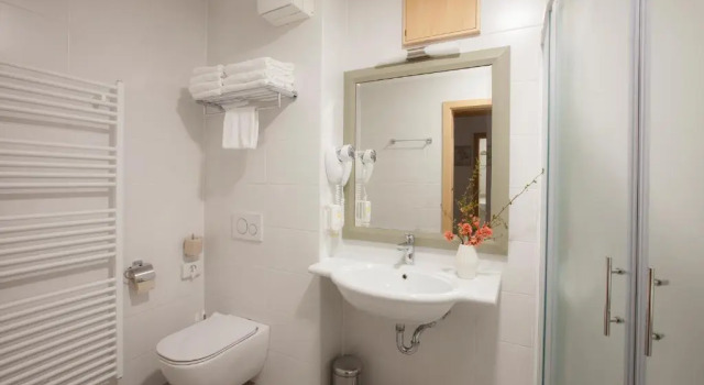 Одноместный номер Standard с балконом Hotel Jezero