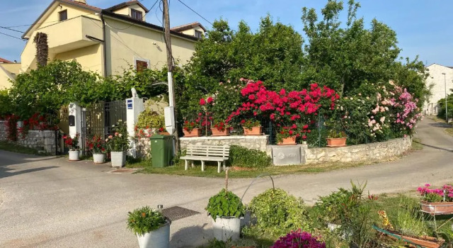 Апартаменты Apartment Violetta