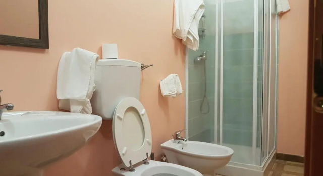 Трёхместный номер Standard Hotel Il Baronetto