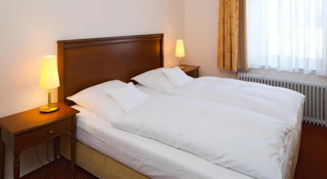 Одноместный номер Economy Romantik Hotel Waldschlösschen