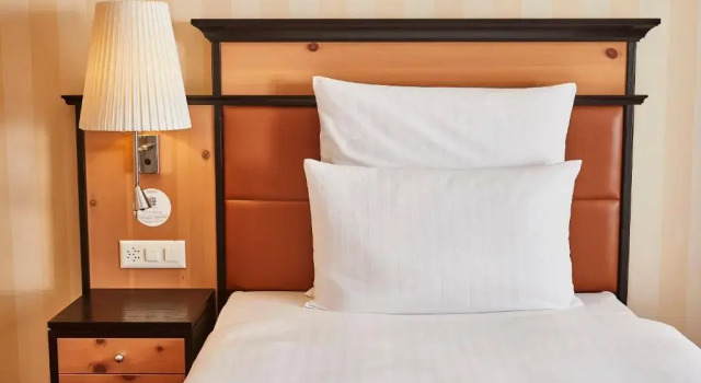 Одноместный номер Superior Steigenberger Icon Grandhotel Belvédère