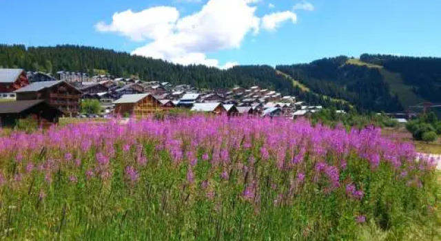 Residence Hautlieux, Забронировать Отель Отели Ле-Сейсье с парковкой, рядом с Родельбан Mountain Twister, Парковка