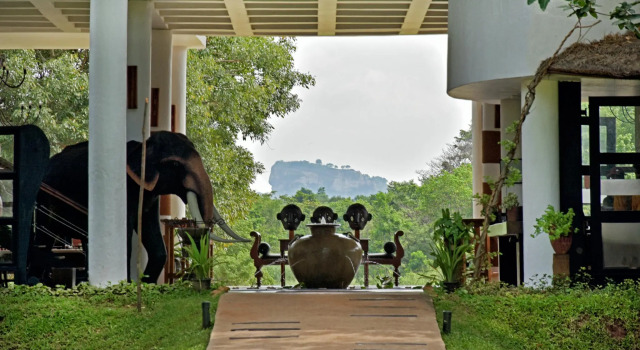 Люкс Deluxe Ayugiri Ayurveda Wellness Resort Sigiriya