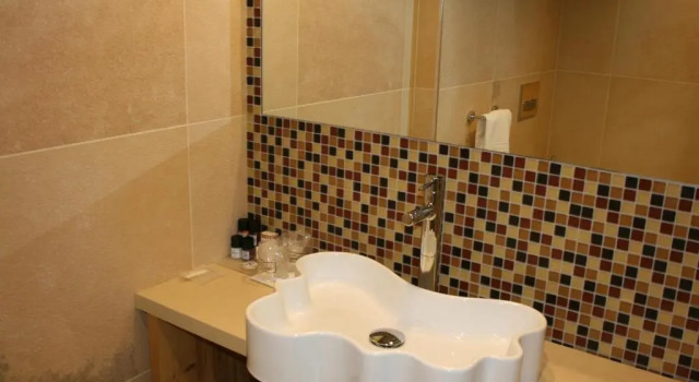 Номер Standard Hotel Orso Grigio
