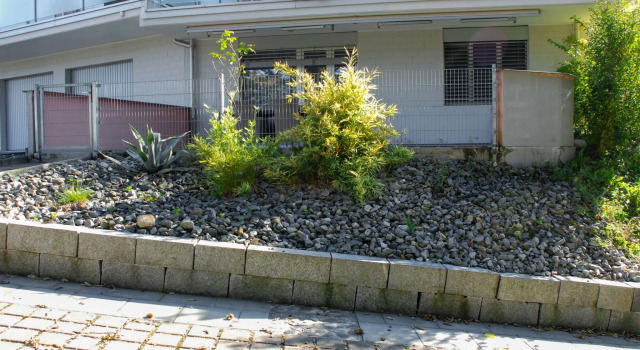 Bella Vista