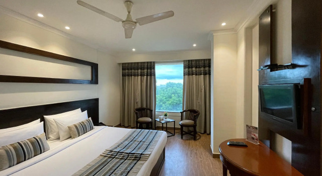 Номер Deluxe Royale Sarovar Portico Agra