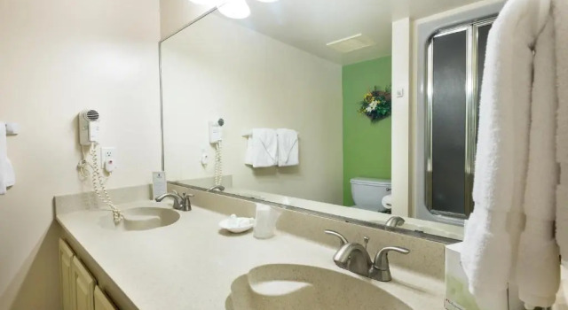 Двухместный номер Standard Kahana Falls Resort