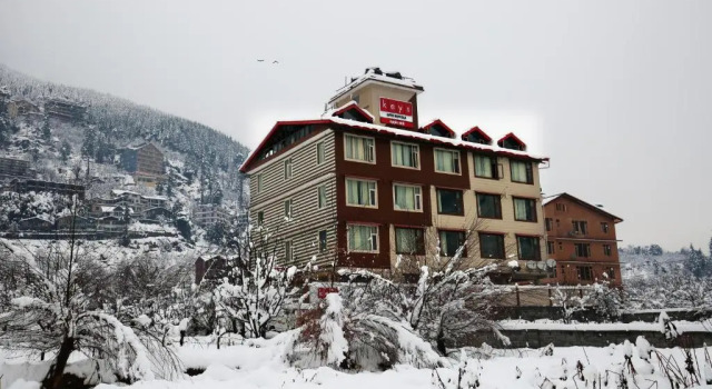 Люкс Hotel Apple Nest