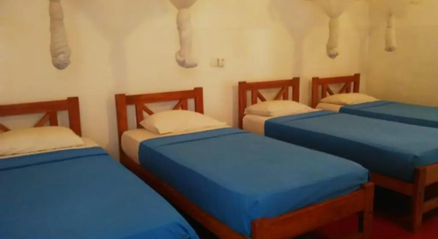 Кровать в общем номере (женский номер) Hotel Mango Garden
