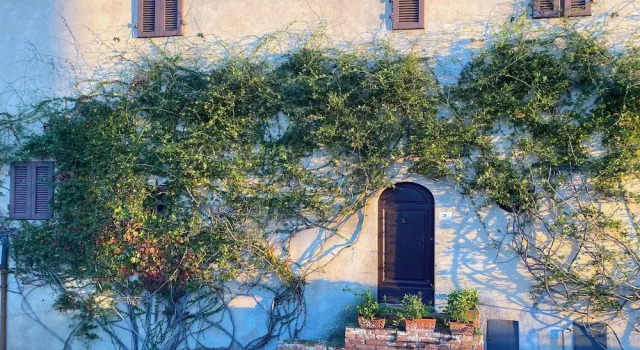 Castello Ginori Di Querceto, Reserva ahora Hostal o pensión Ponteginori Toscana