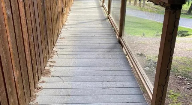 Cozy 2 bedroom cabin next to trails and beaches., Prenota Hotel Pender Island Gulf Islands
