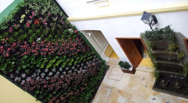 Hotel Santa Lucia Boutique Spa, Boek Resort Hotels in Candelaria met ontbijt, Ontbijt