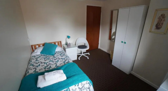 Одноместный номер Deluxe Common Farm Motel