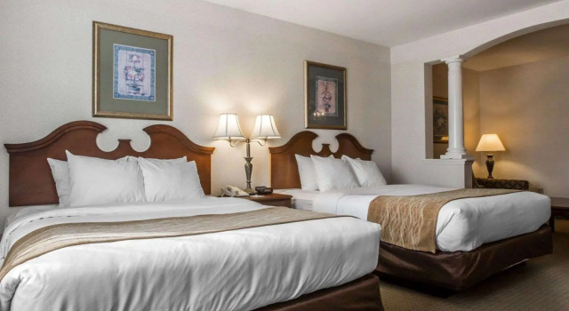 Четырёхместный люкс Comfort Inn & Suites East Greenbush - Albany